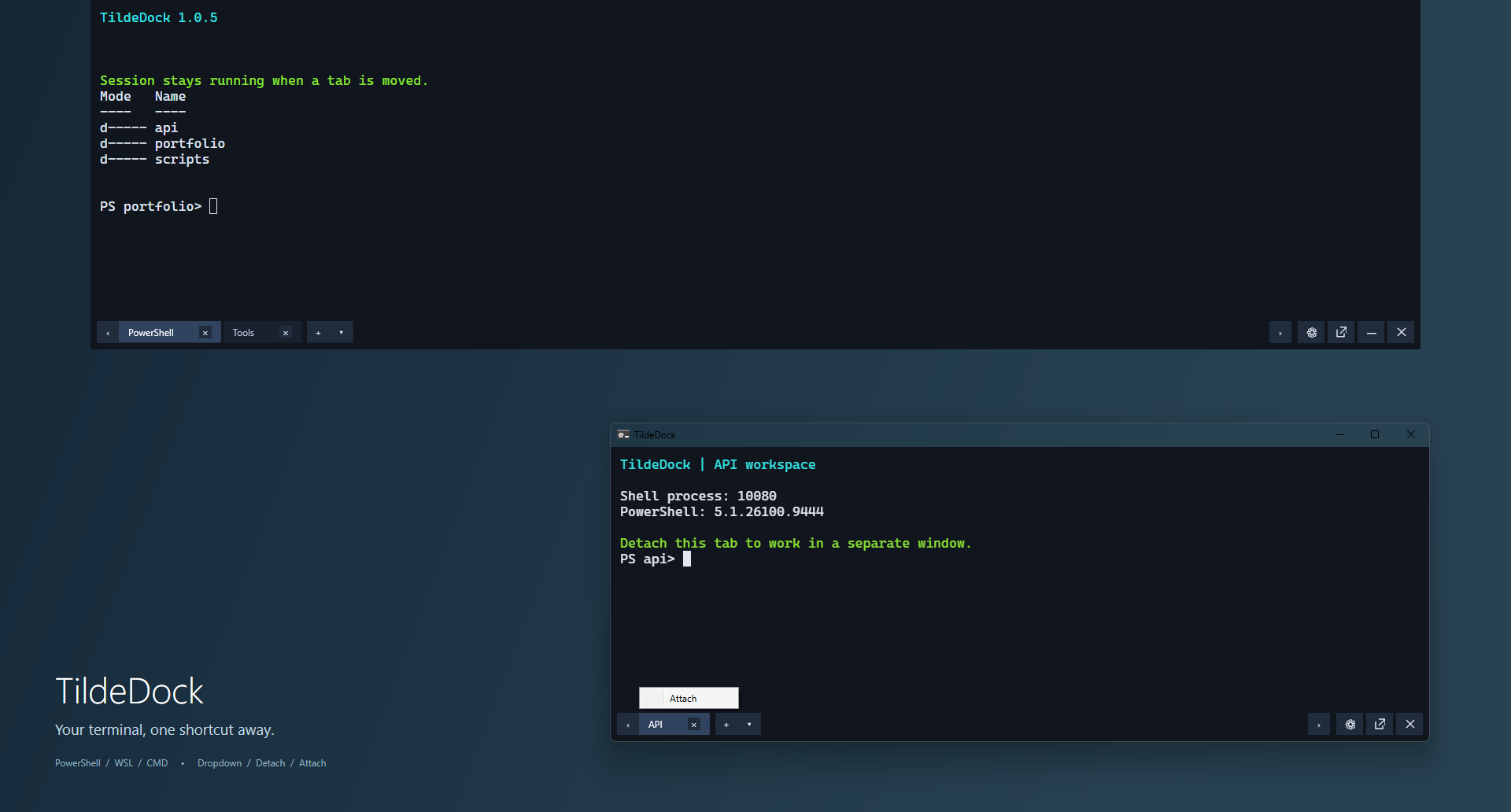 02 · API tab in a separate window: Attach brings it back