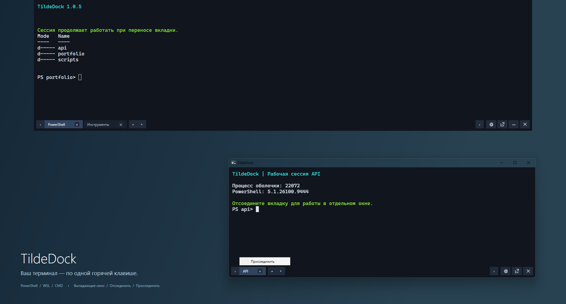 02 · Вкладка API в отдельном окне: команда «Присоединить» (Attach) возвращает её обратно